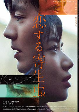 《山与海的间距》封面